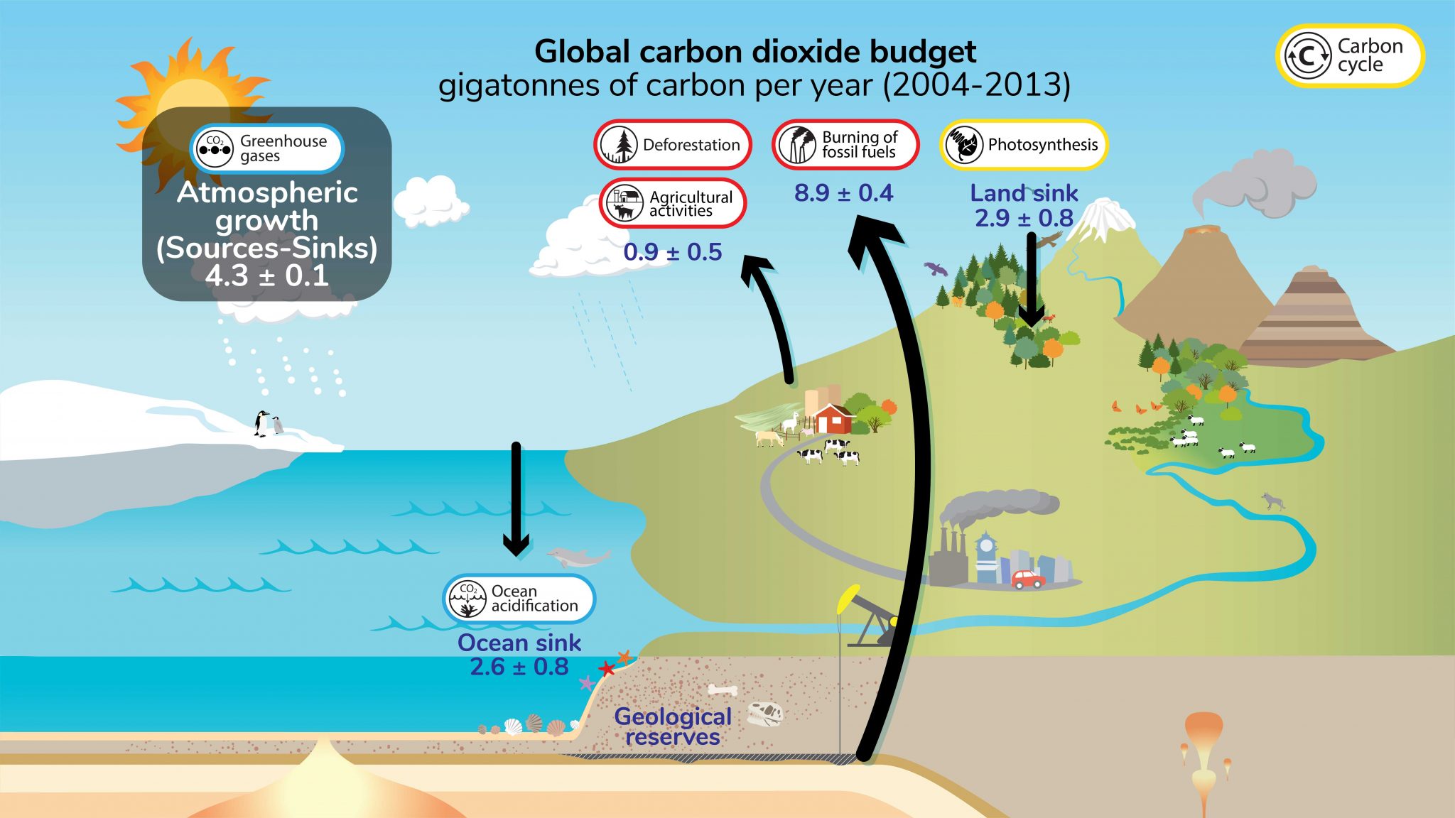 Carbon Cycle Understanding Global Change