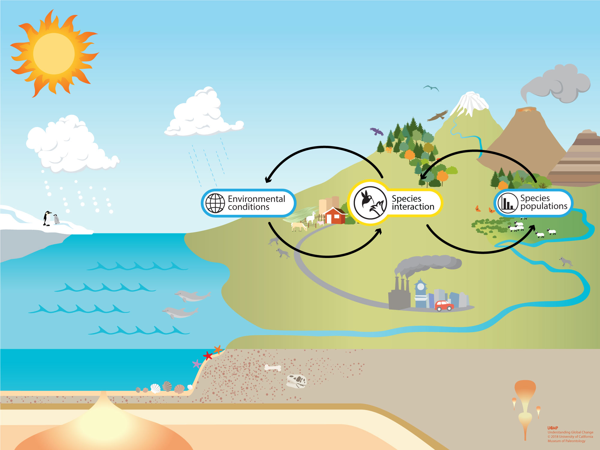 species-interactions-understanding-global-change