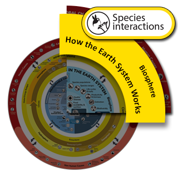 Species Interaction clickable icon