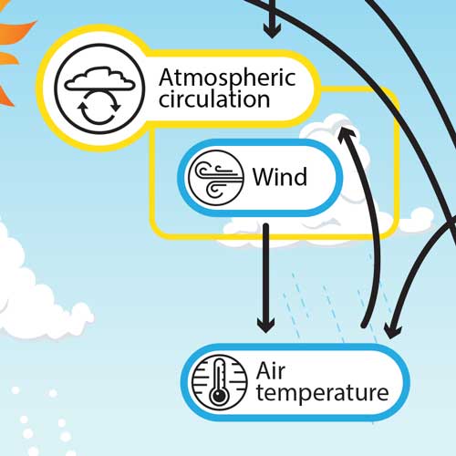 Ferrel cell  Atmospheric Circulation, Global Wind Patterns & Jet