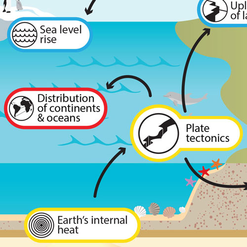 plate tectonics