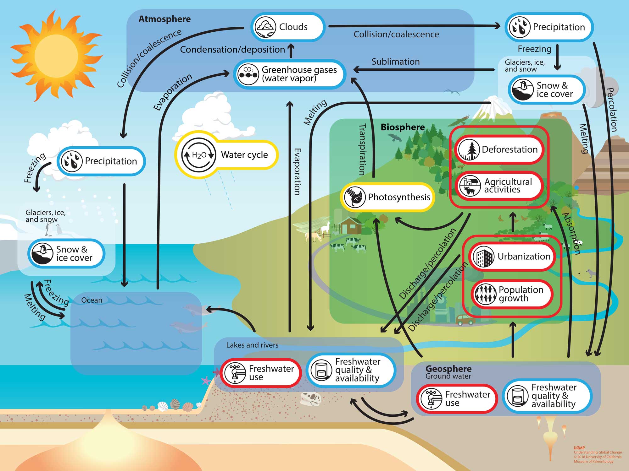 WCOM: The science scenario and objectives of a global water cycle