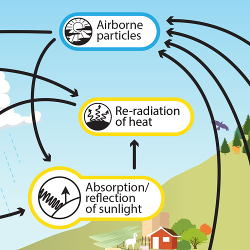 Why does black absorb heat or get hot?