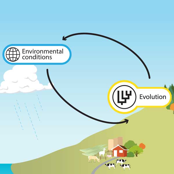 Evolution - Understanding Global Change