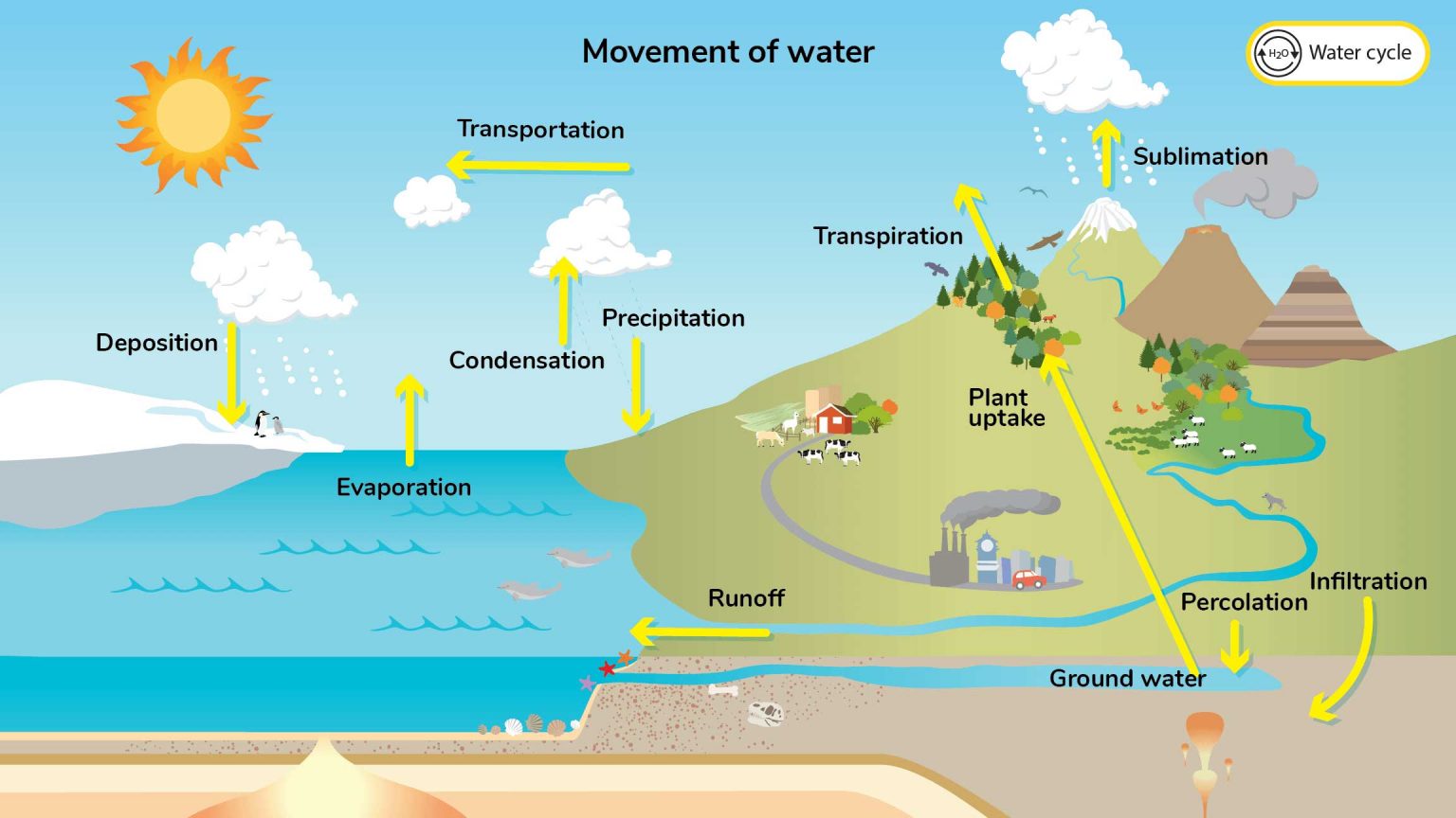 Water Cycle - Understanding Global Change