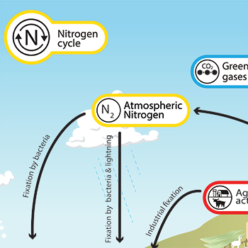 Nitrogen - Understanding Global Change