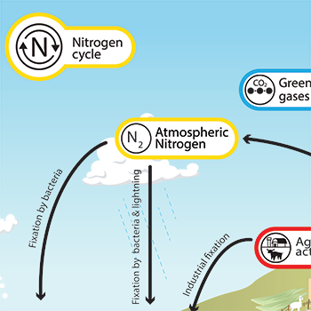 nitrogen examples