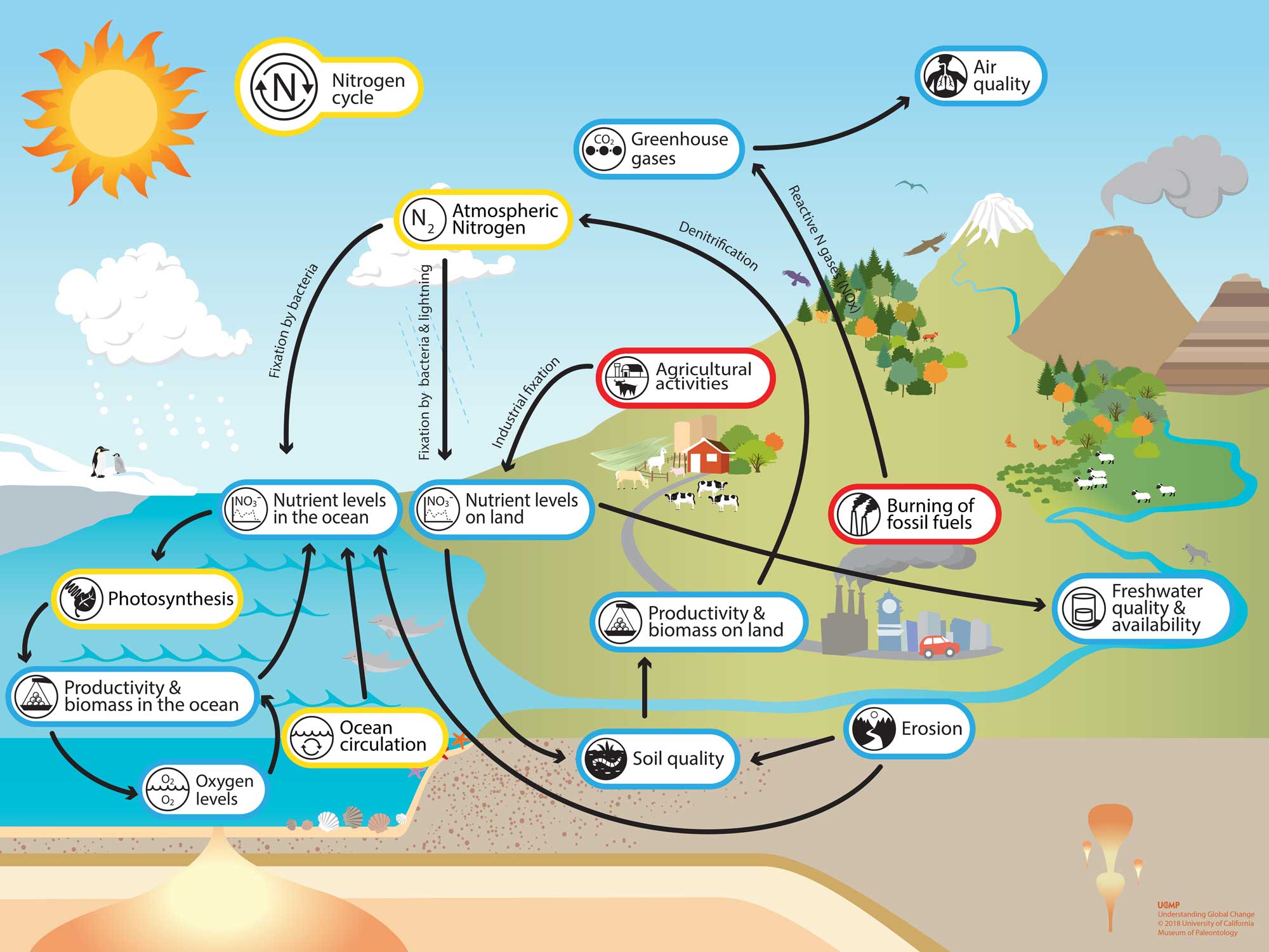 The cycle карта ресурсов