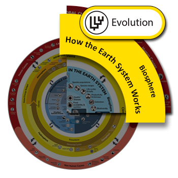 Evolution - Understanding Global Change