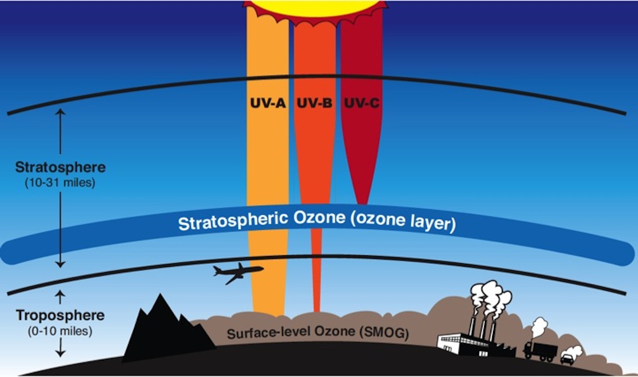 Ozone layer - Understanding Global Change
