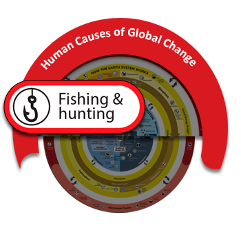 Fishing and hunting - Understanding Global Change