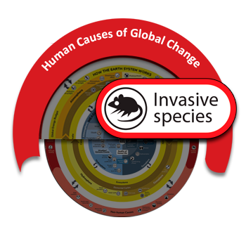 Invasive species - Understanding Global Change