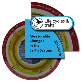 Life cycles and traits - Understanding Global Change
