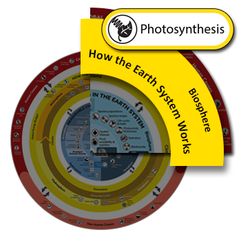 Photosynthesis clickable icon