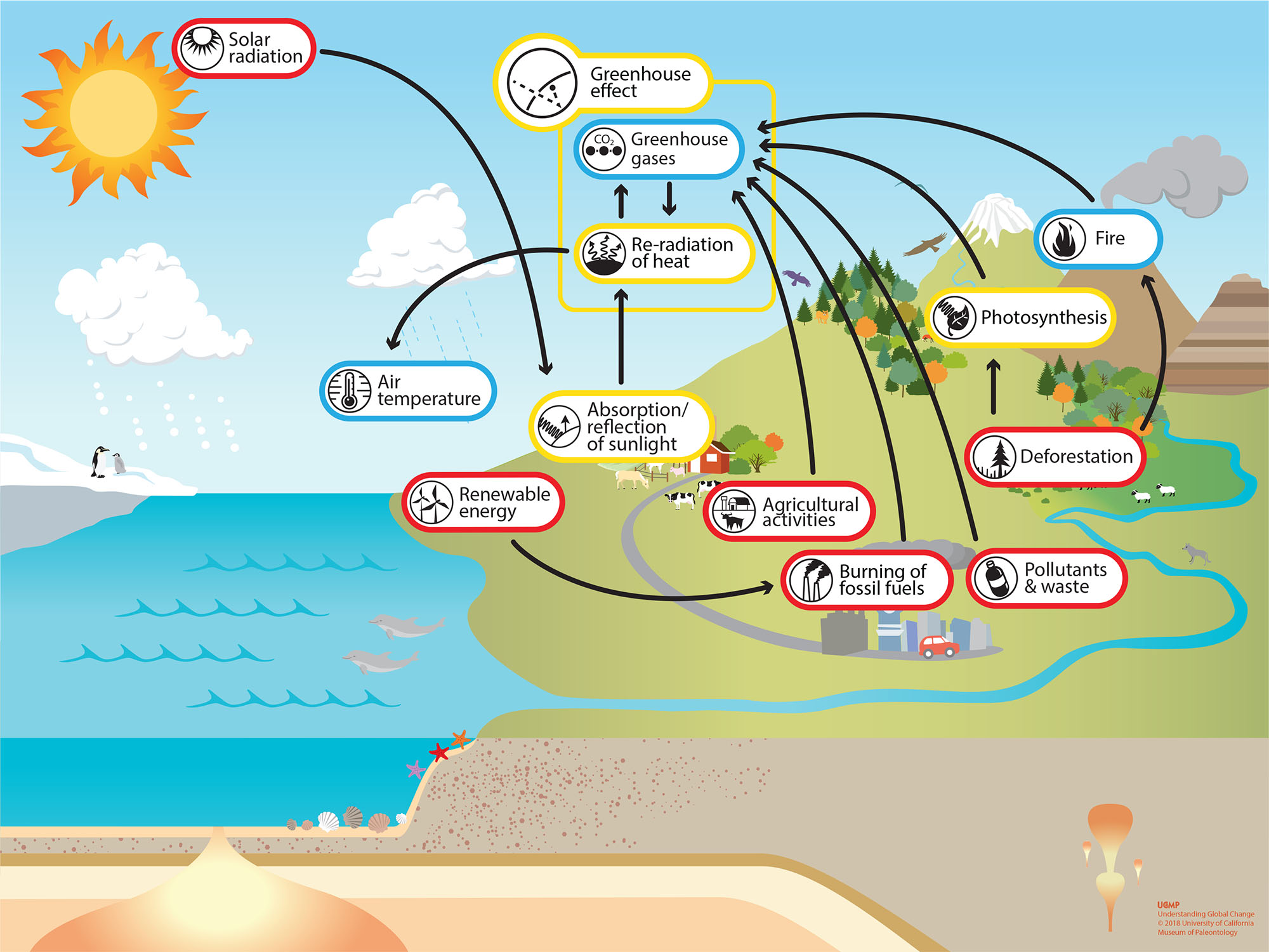 causes of global warming diagram