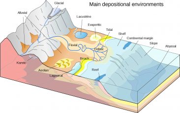 Sedimentation - Understanding Global Change