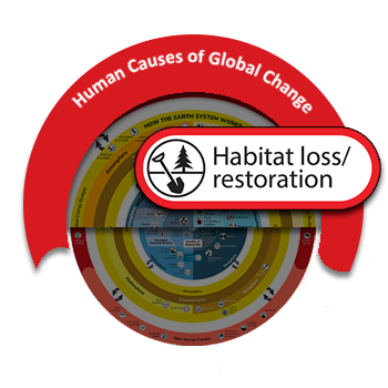 Habitat loss / restoration - Understanding Global Change